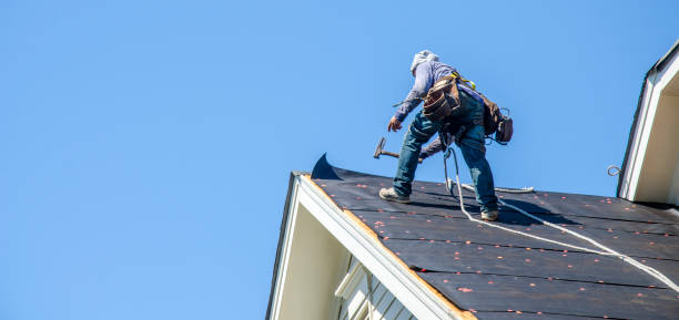 Best Roof Gutter Cleaning  in Smithers, WV